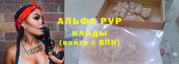 крисы Абаза