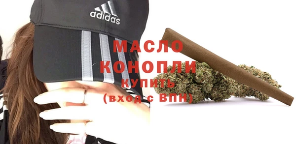 крисы Абаза