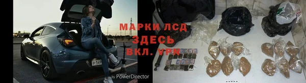 крисы Абаза