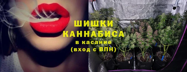 сатива Абинск