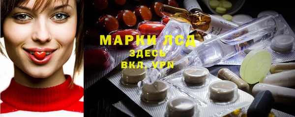 сатива Абинск
