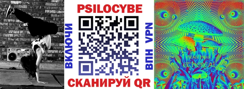Псилоцибиновые грибы мухоморы ссылка на мегу сайт Адыгейск сколько стоит
