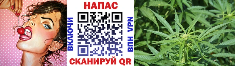 Бошки марихуана ГИДРОПОН Адыгейск